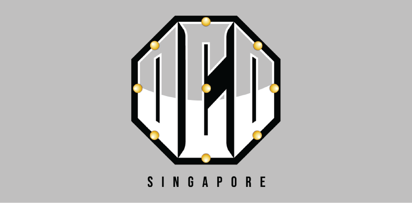 Octopus Car Detailing