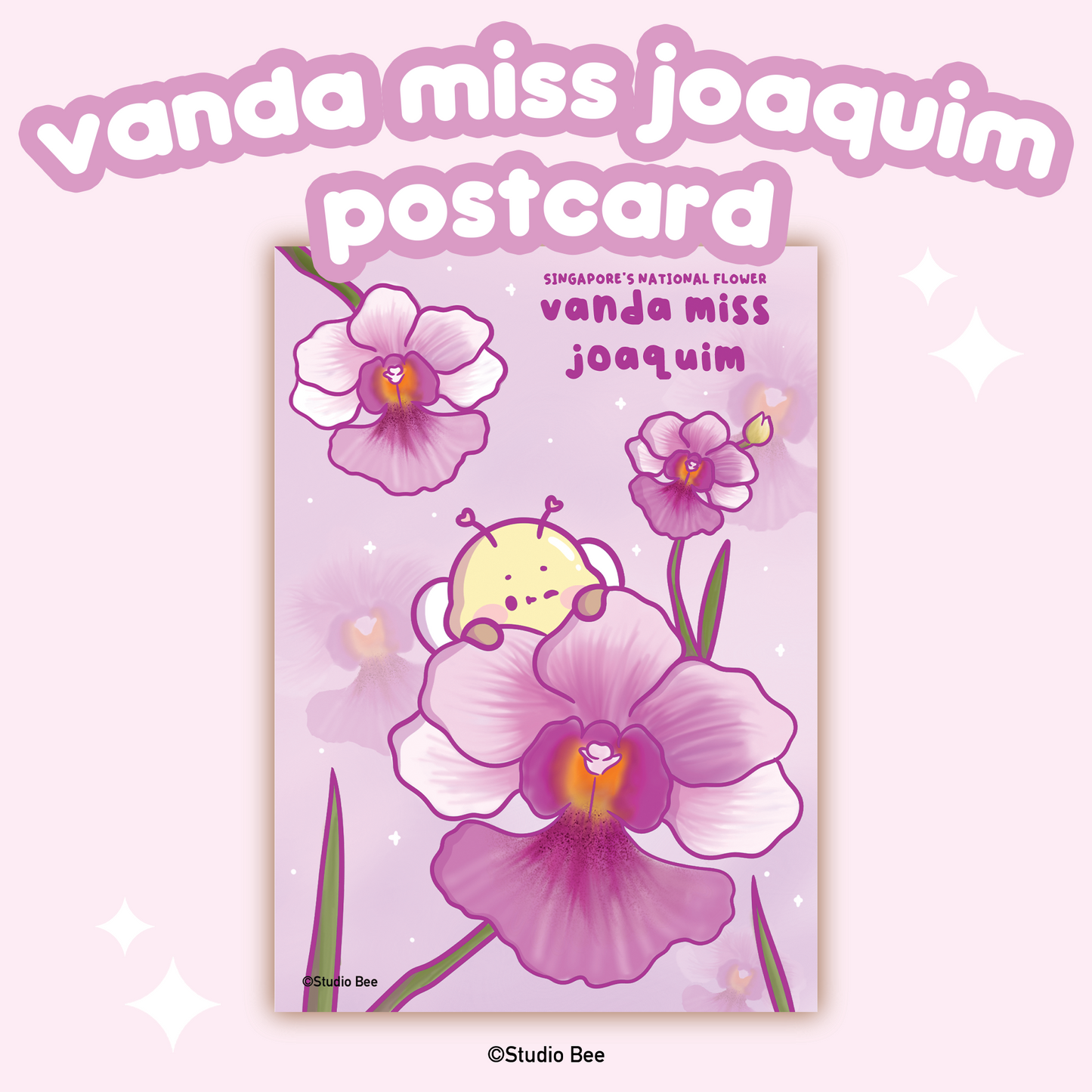 Singapore Vanda Miss Joaquin Orchid Postcard